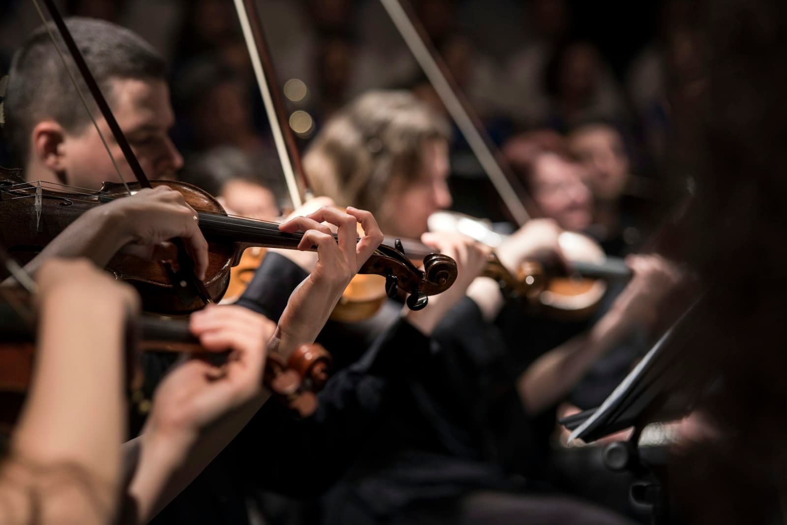 Violinista (1h)